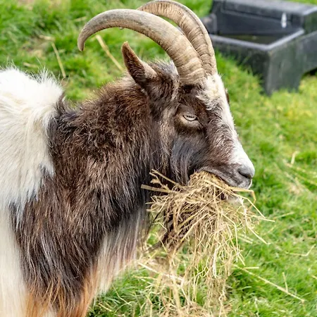 別荘 2 Bed In Wasdale Head Sz053 *