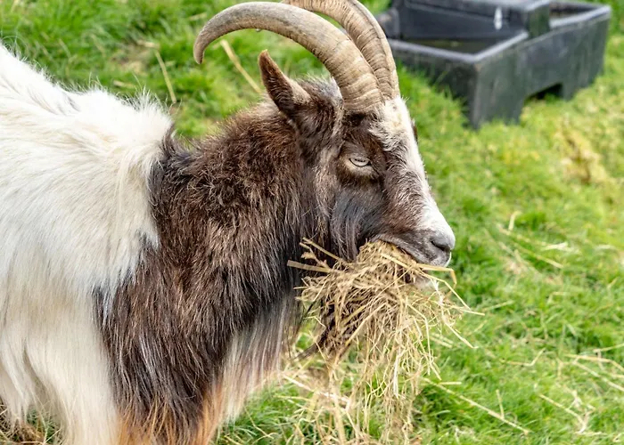 2 Bed In Wasdale Head Sz053