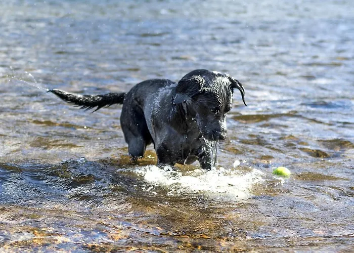 2 Bed In Wasdale Head Sz053